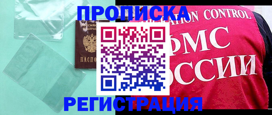 прописка 2025 в Звенигово